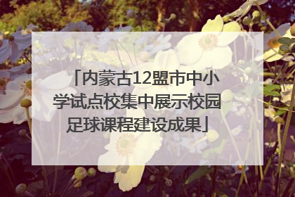内蒙古12盟市中小学试点校集中展示校园足球课程建设成果
